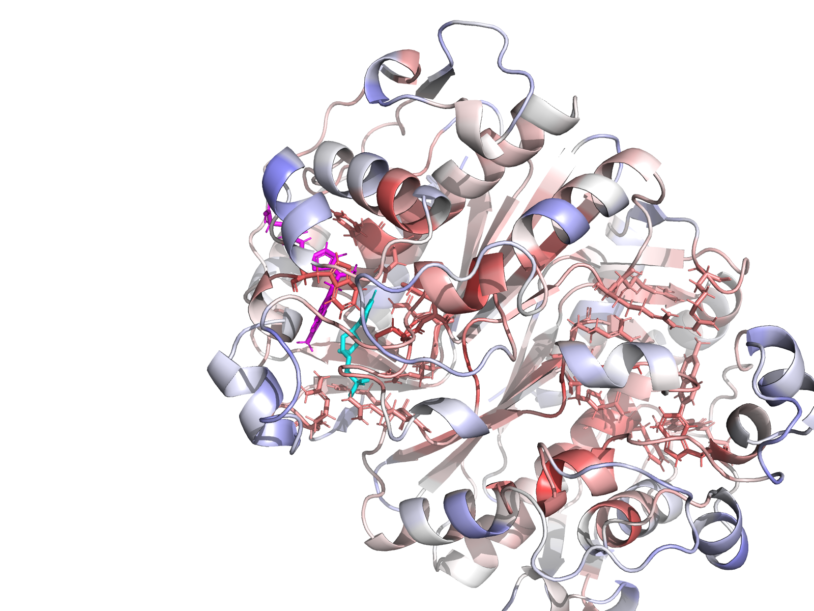 Active site chain A