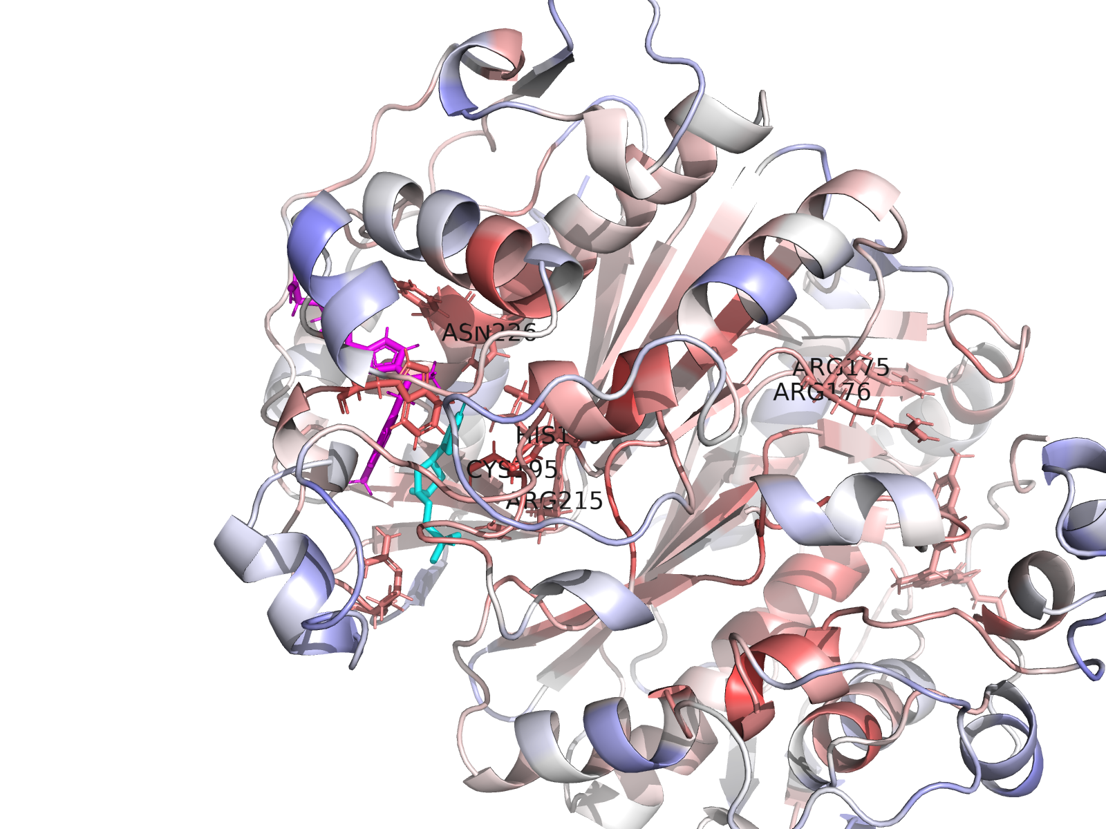 Catalytic dyad