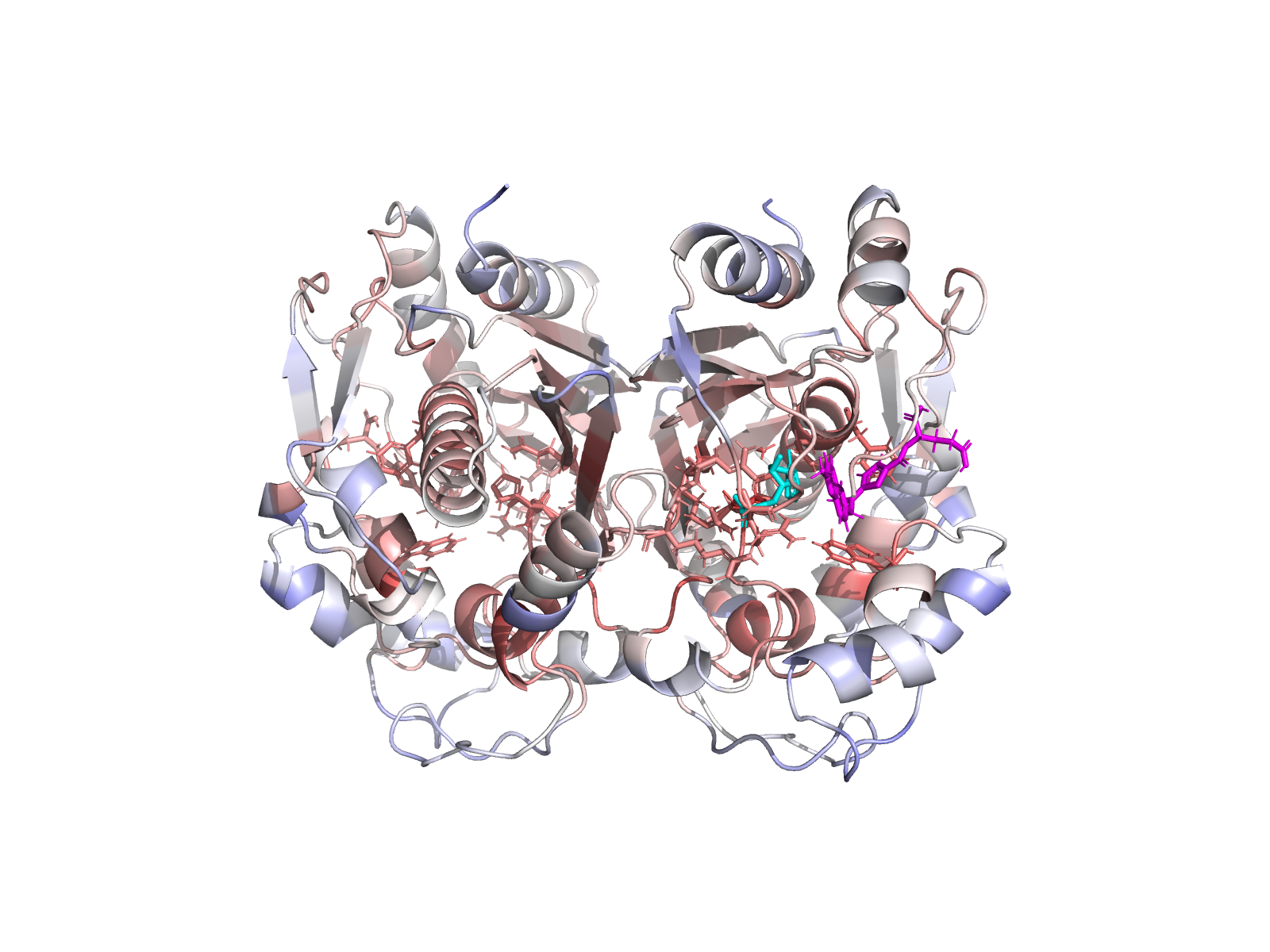 Dimer overview