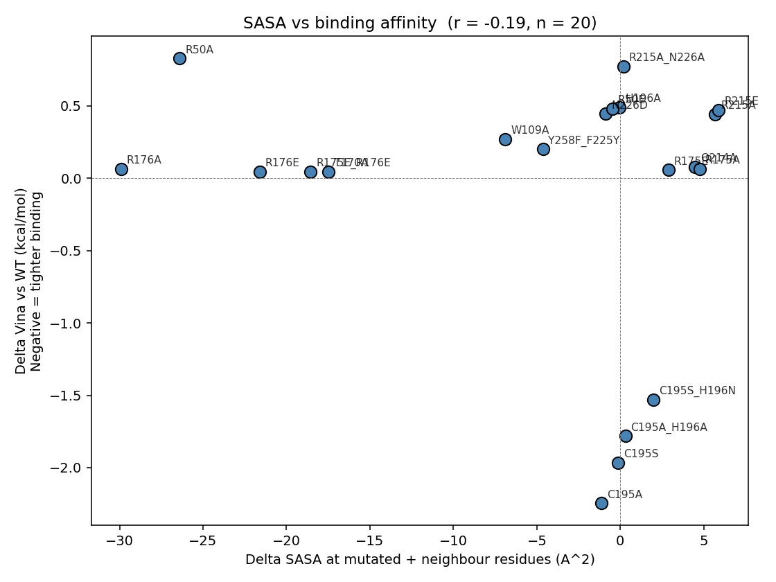 SASA vs ΔVina