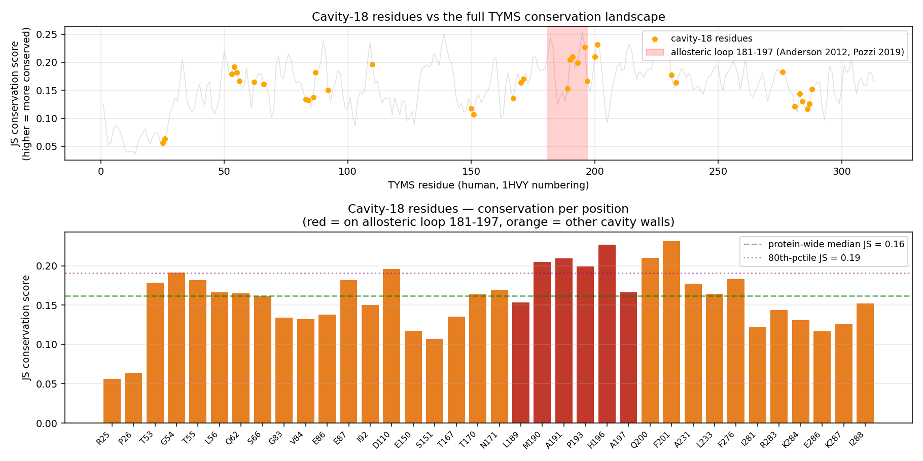 Cavity-18 residue conservation