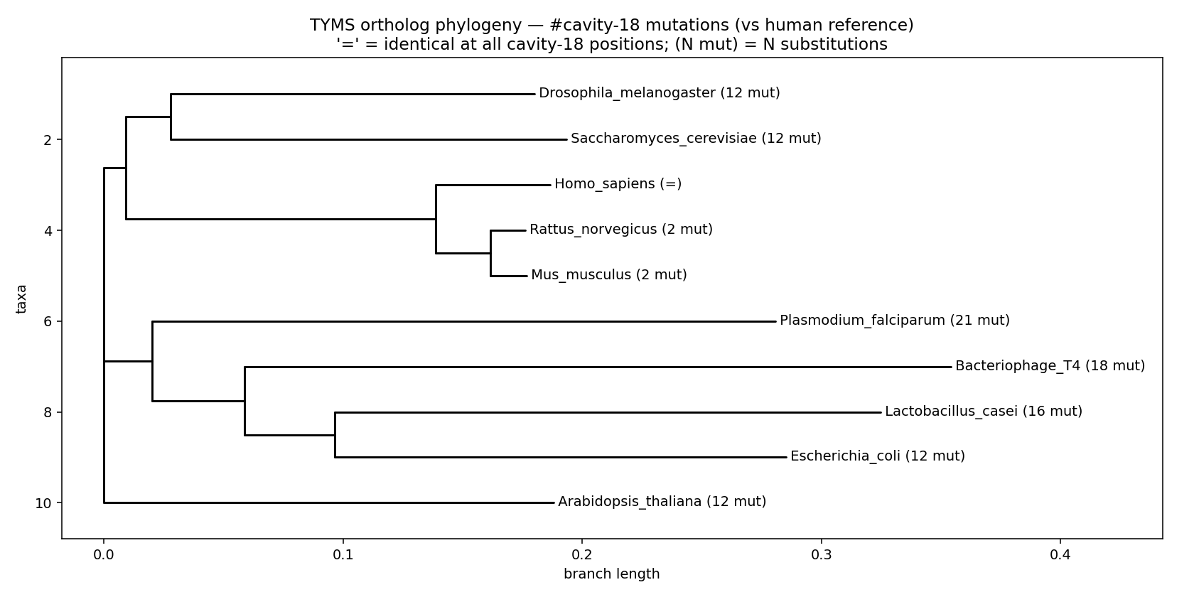 Cavity-18 phylogeny annotated with mutation counts