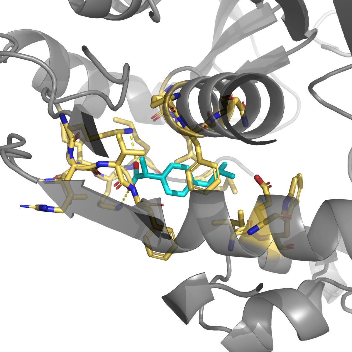 Ibuprofen docked in cavity 18 of TYMS