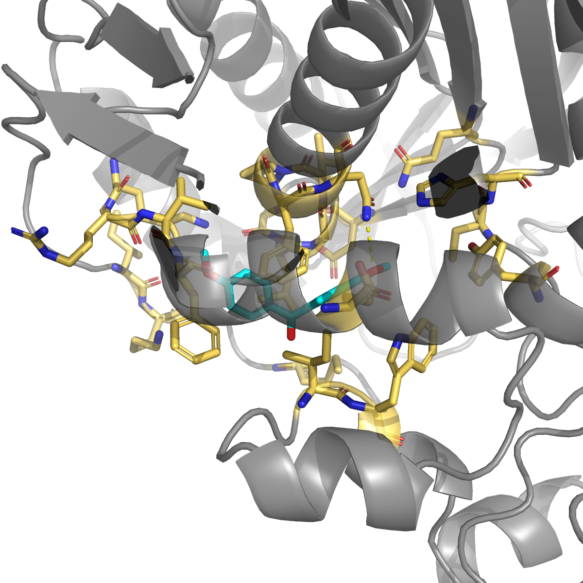 1H-indazole docked in cavity 18 of TYMS