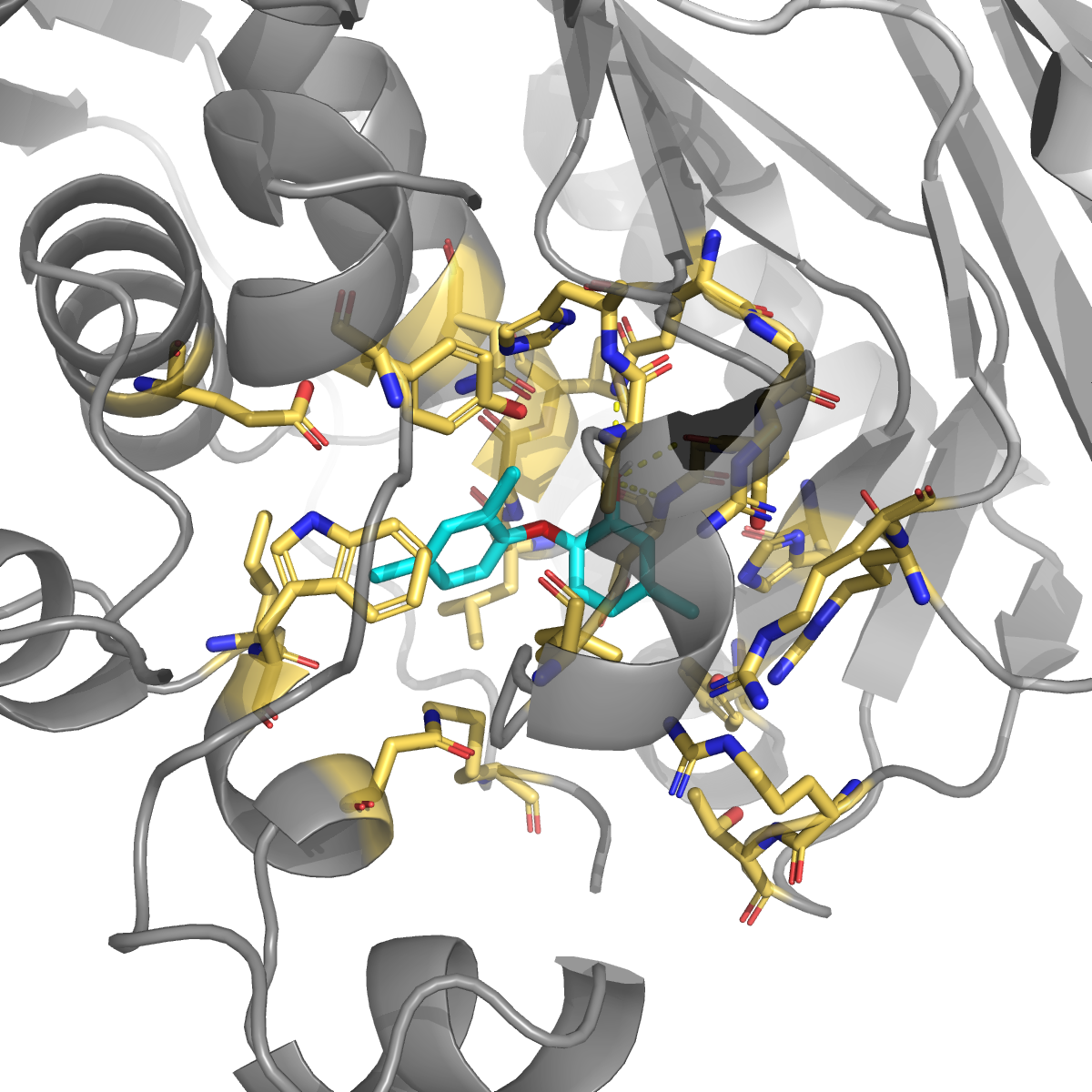 Tolnaftate docked in cavity 2 of TYMS