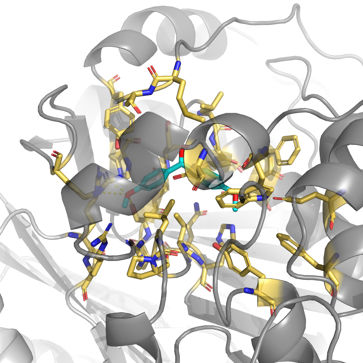 1H-indazole docked in cavity 2 (low-druggability) of TYMS