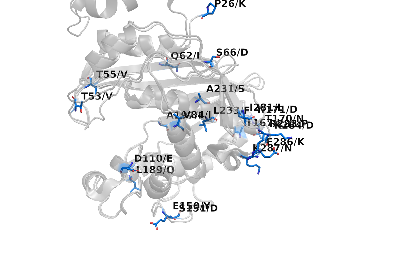 Cavity-18 zoom, every divergent position labelled with human→Pf substitution