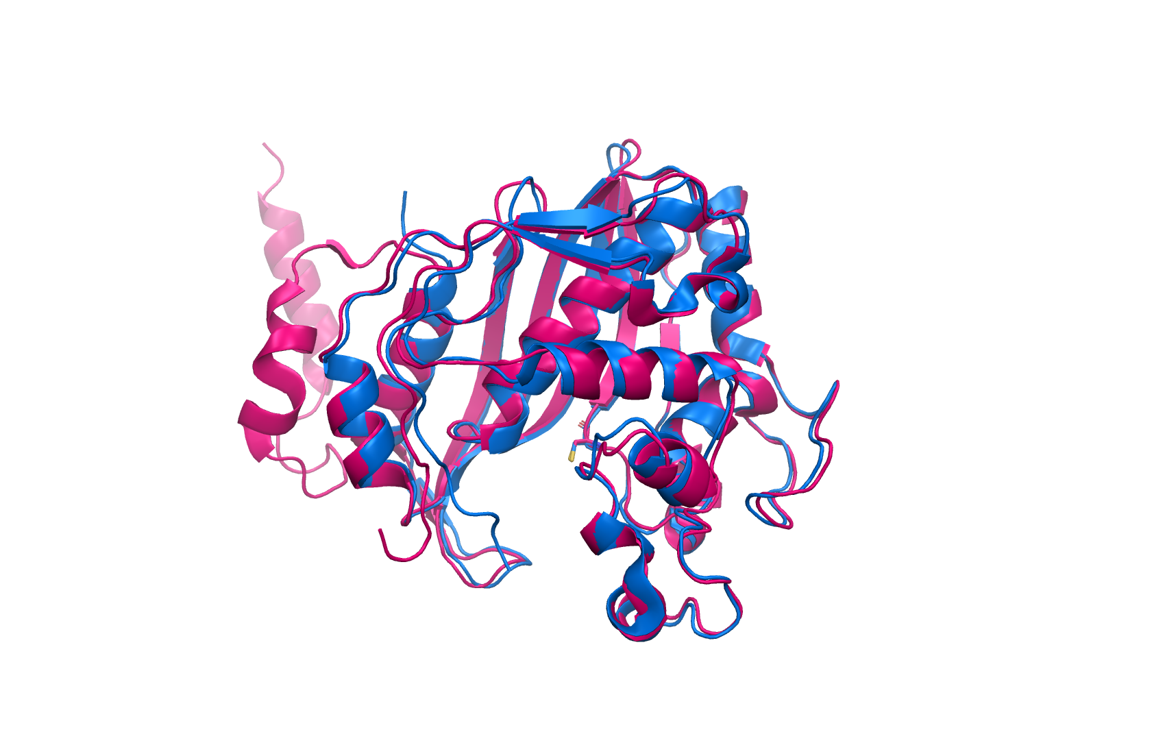 Human TYMS 1HVY chain A (blue) superimposed on Plasmodium falciparum DHFR-TS 1J3I TS domain chain C (magenta). Catalytic Cys195 / Cys490 shown as sticks.