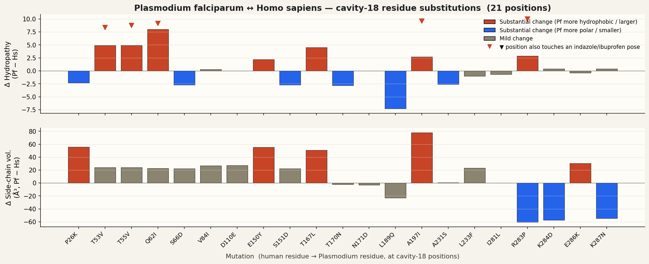 Per-substitution Δ hydropathy + Δ volume between Plasmodium falciparum and human TYMS at cavity-18 positions