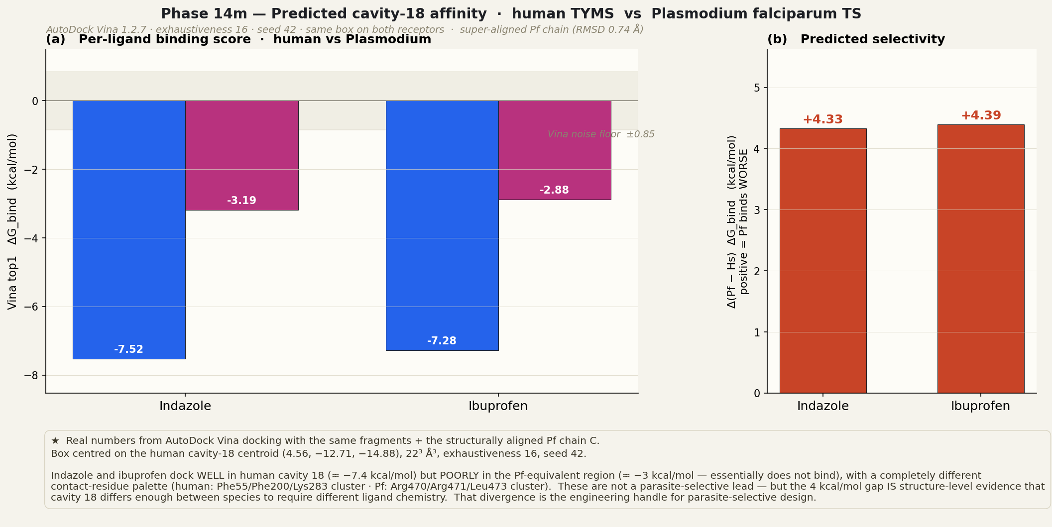 Predicted cavity-18 affinity, human vs Plasmodium