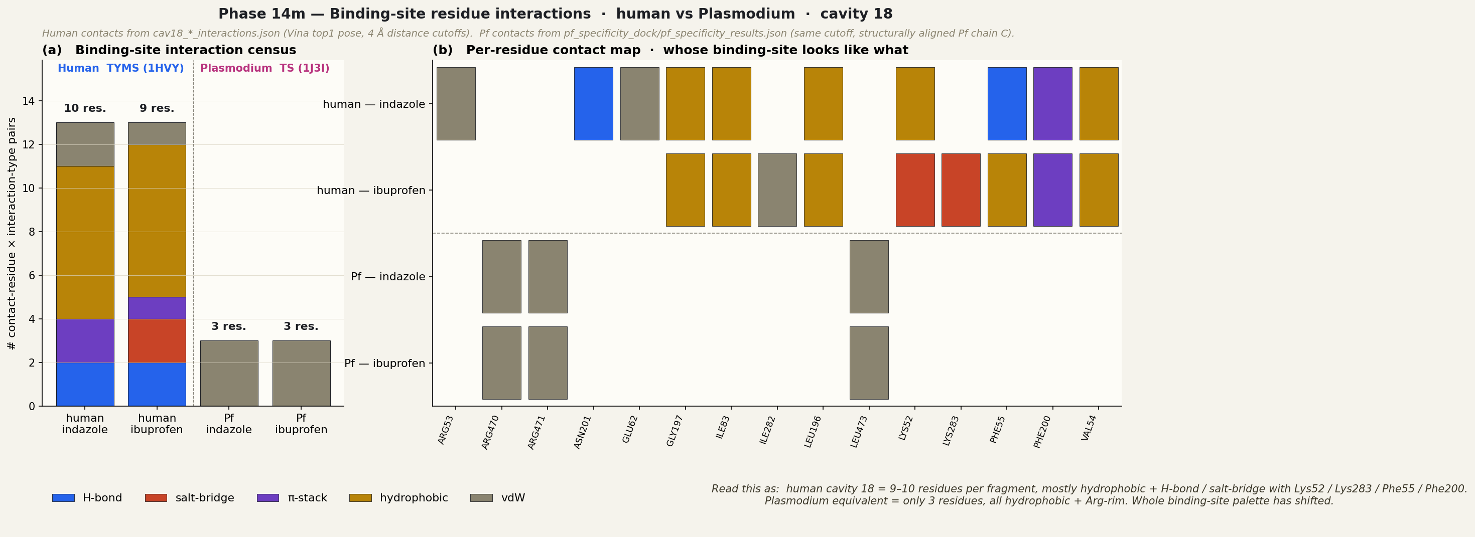 Per-residue binding-site interaction comparison: human vs Plasmodium cavity 18